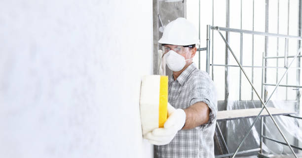 Trusted Wendover, UT Mold Removal & Remediation Experts